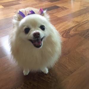 Meet your Posher, Joanne